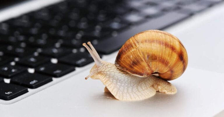 Snail on a laptop that is faster than a slow website